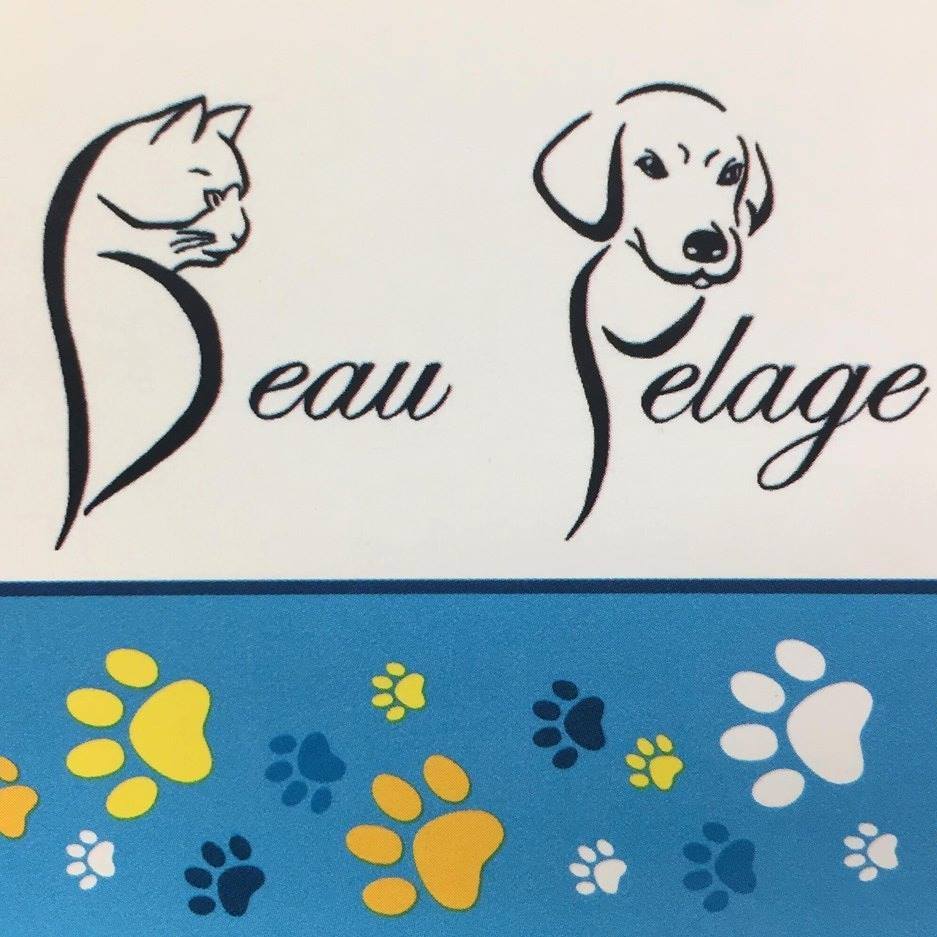 Toilettage Beau Pelage