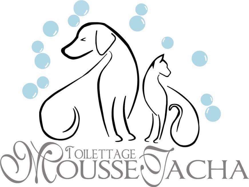 Toilettage MousseTacha